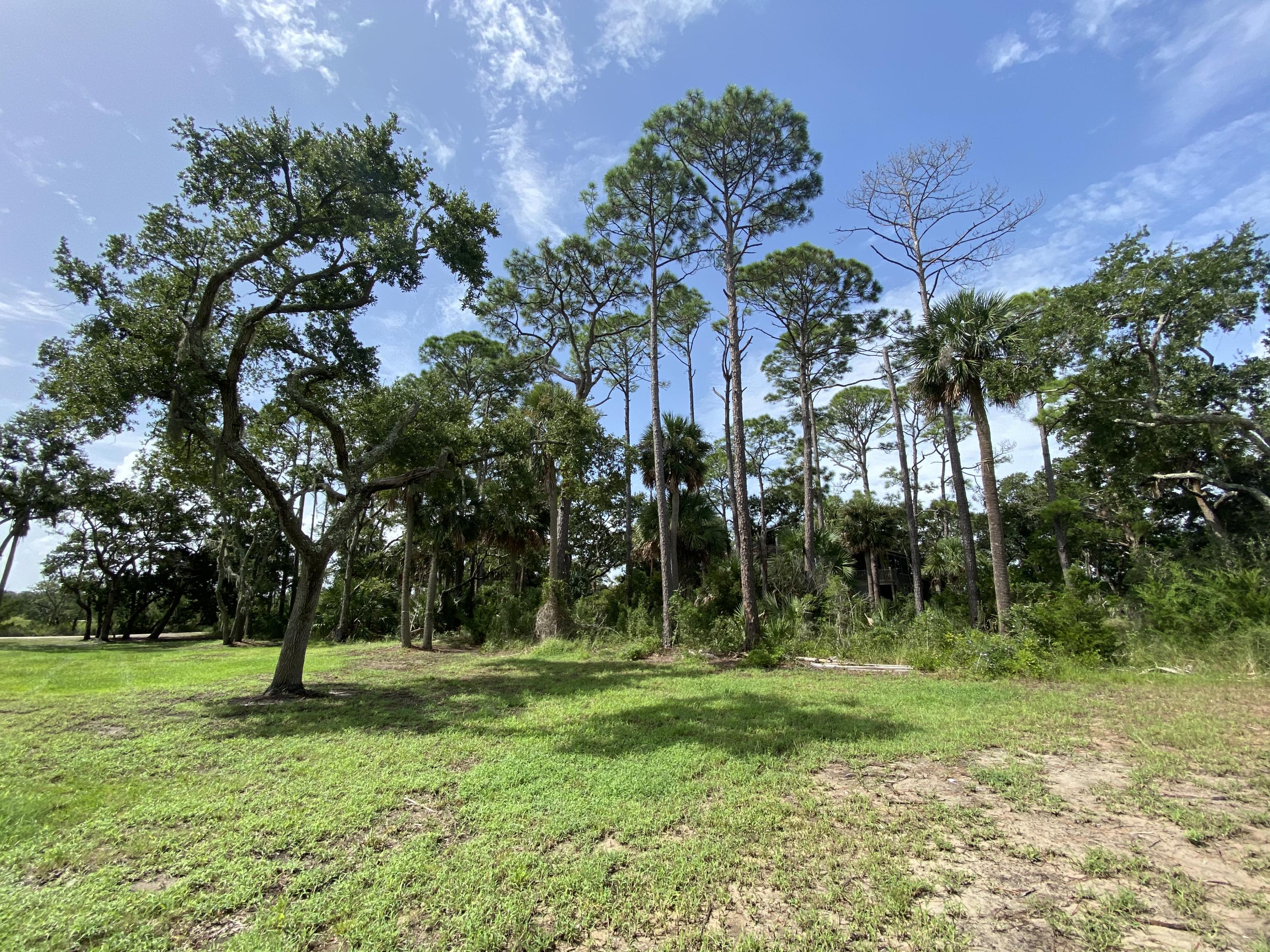 7682 Legare Road Edisto Island, SC 29438 - Photo 8 of 11 Photo Aug 25, 11 16 07 AM