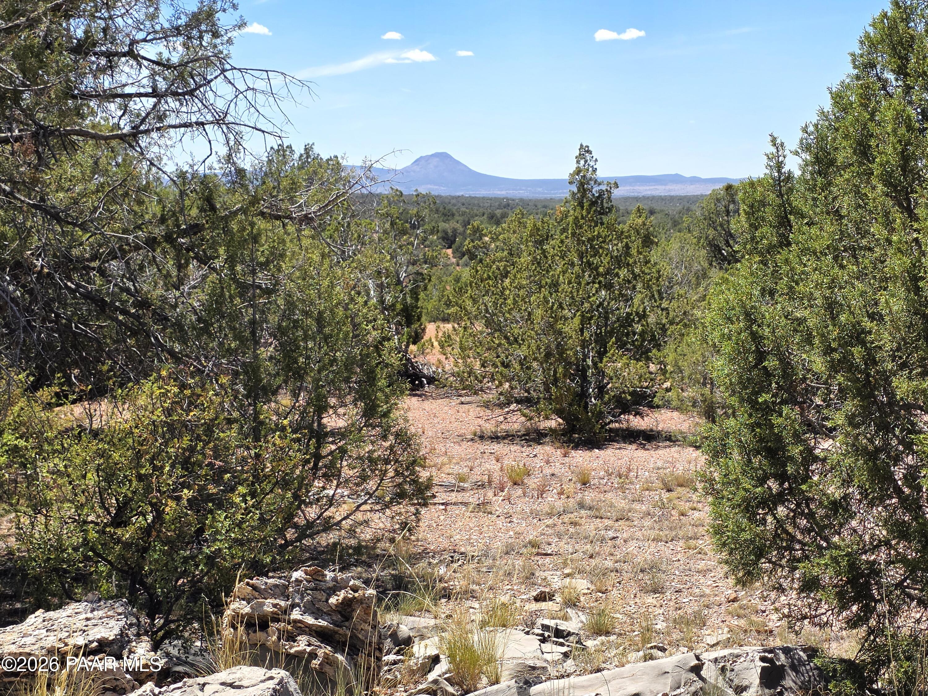 3200 Poppy Road Ash Fork, AZ 86320 - Photo 9 of 34 20260711_141130
