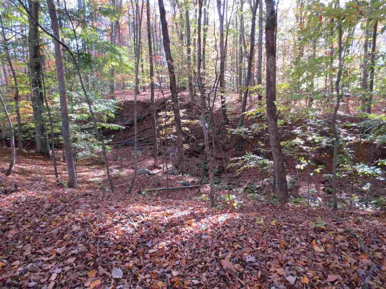 Lot 1 Phillies Bridge Road New Paltz, NY 12561 - Photo 2 of 5 Photo 2