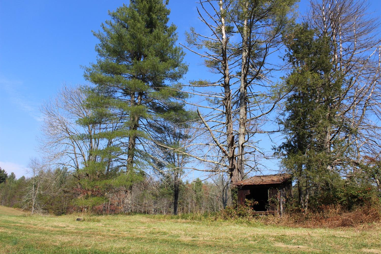 3600 Sandy Ridge Road Campton, KY 41301 - Photo 20 of 30 Photo 20