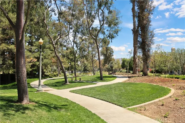 a view of a park with large trees
