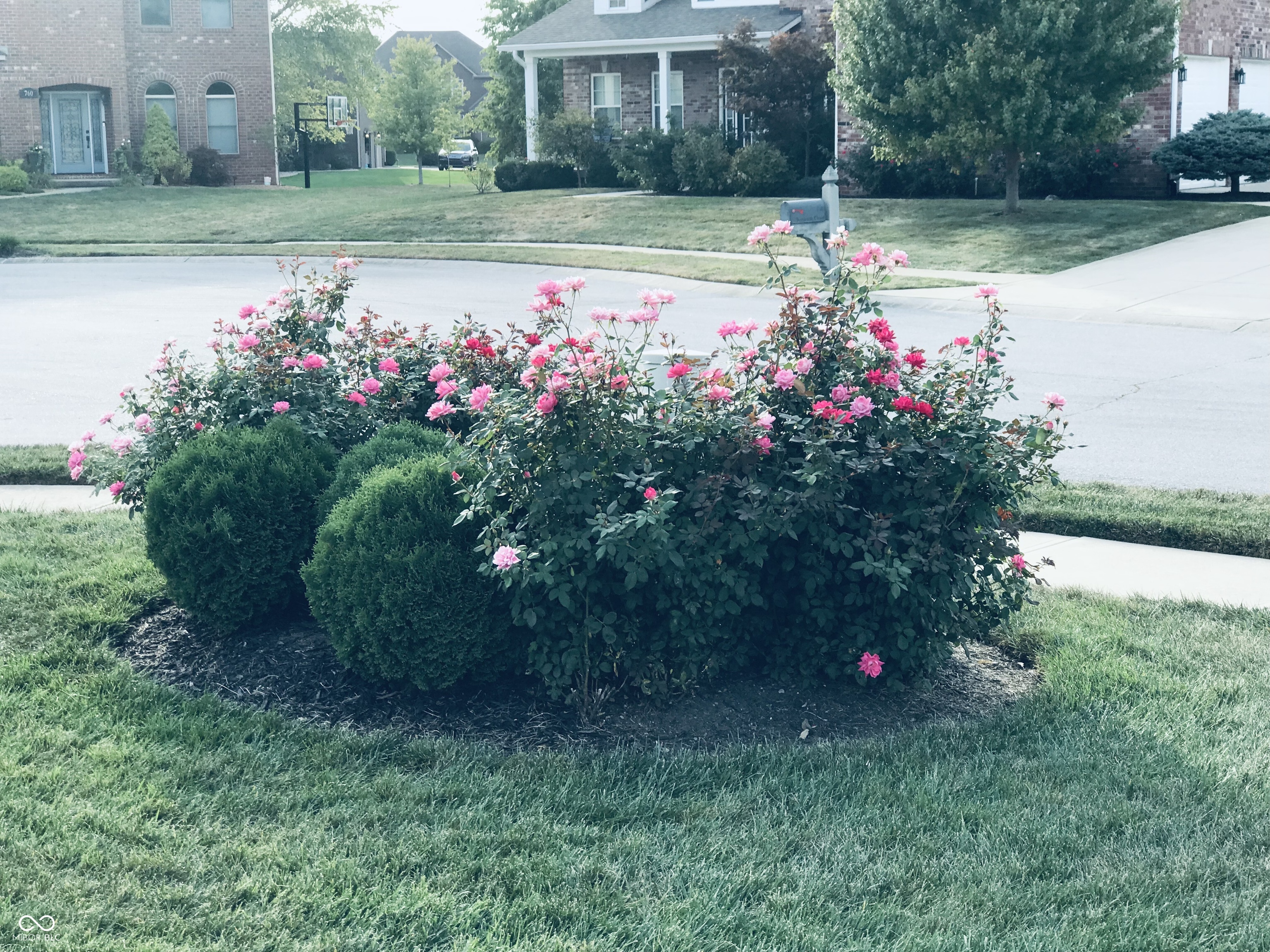 396 Morningside Drive Brownsburg, IN 46112 - Photo 7 of 55