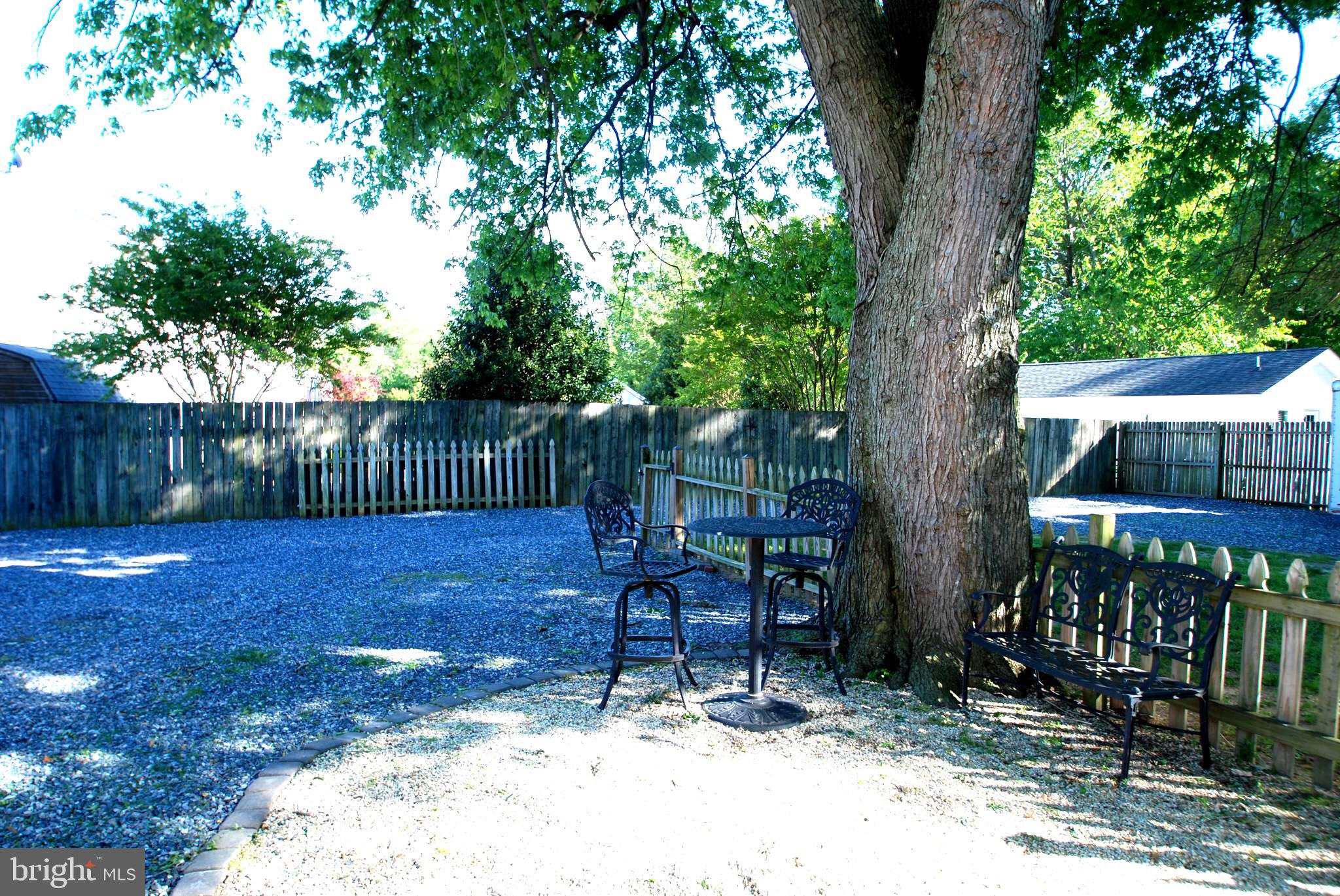 29533 Matthewstown Road Easton, MD 21601 - Photo 4 of 18 Wonderful Shade Tree