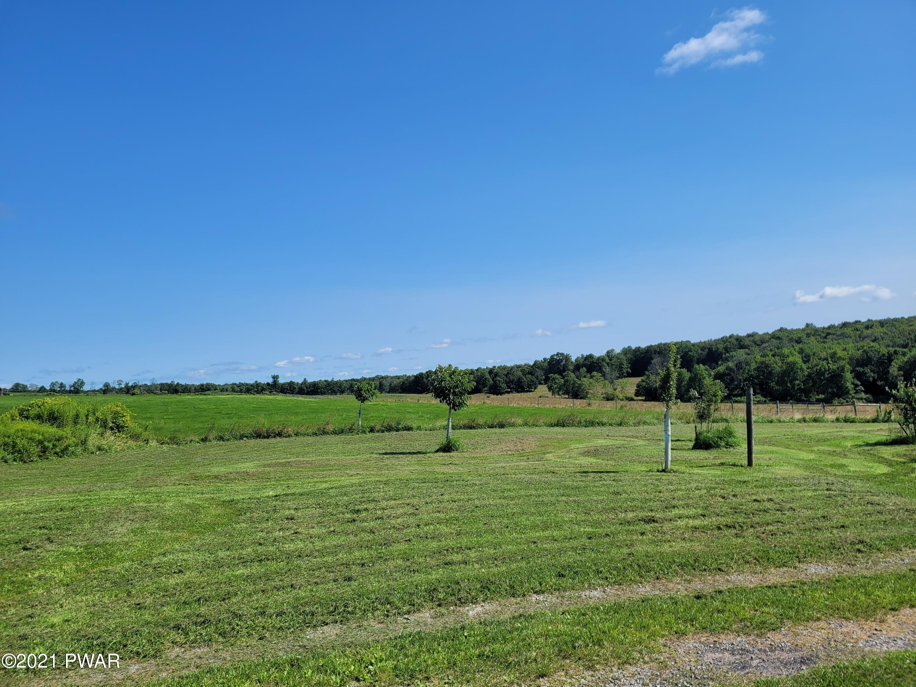 Canaan Township Road Waymart, PA 18472 - Photo 4 of 55 View