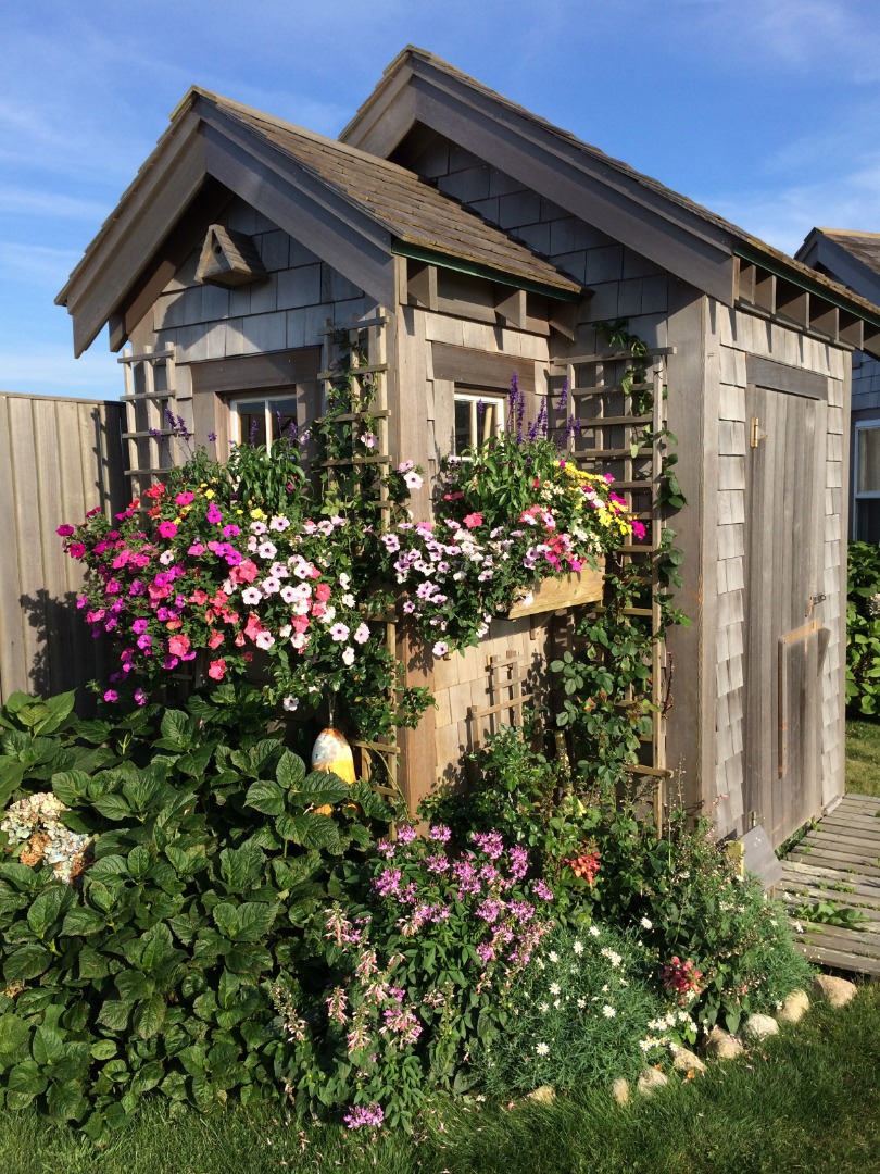 36 Sheep Pond Road Nantucket, MA 02554 - Photo 9 of 69