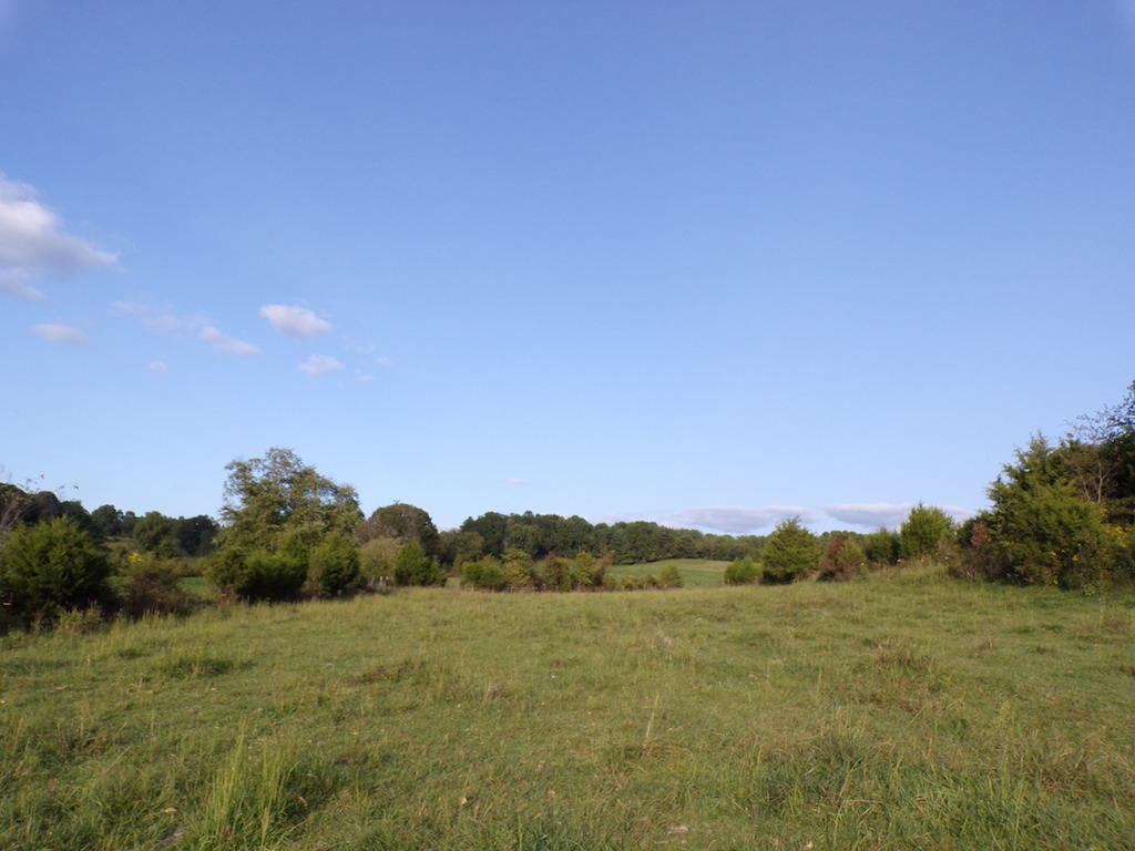 180 Antle Road Jamestown, KY 42629 - Photo 43 of 57 16