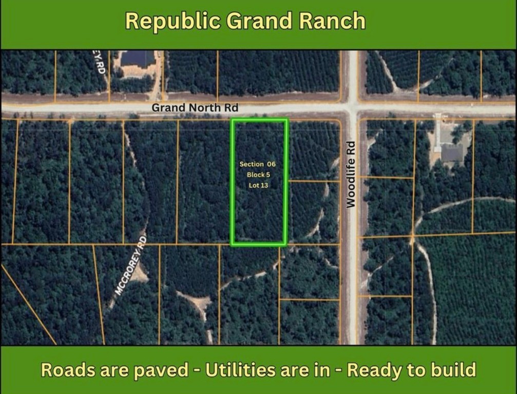 11818 Grand N Road Willis, TX 77378 - Photo 4 of 4