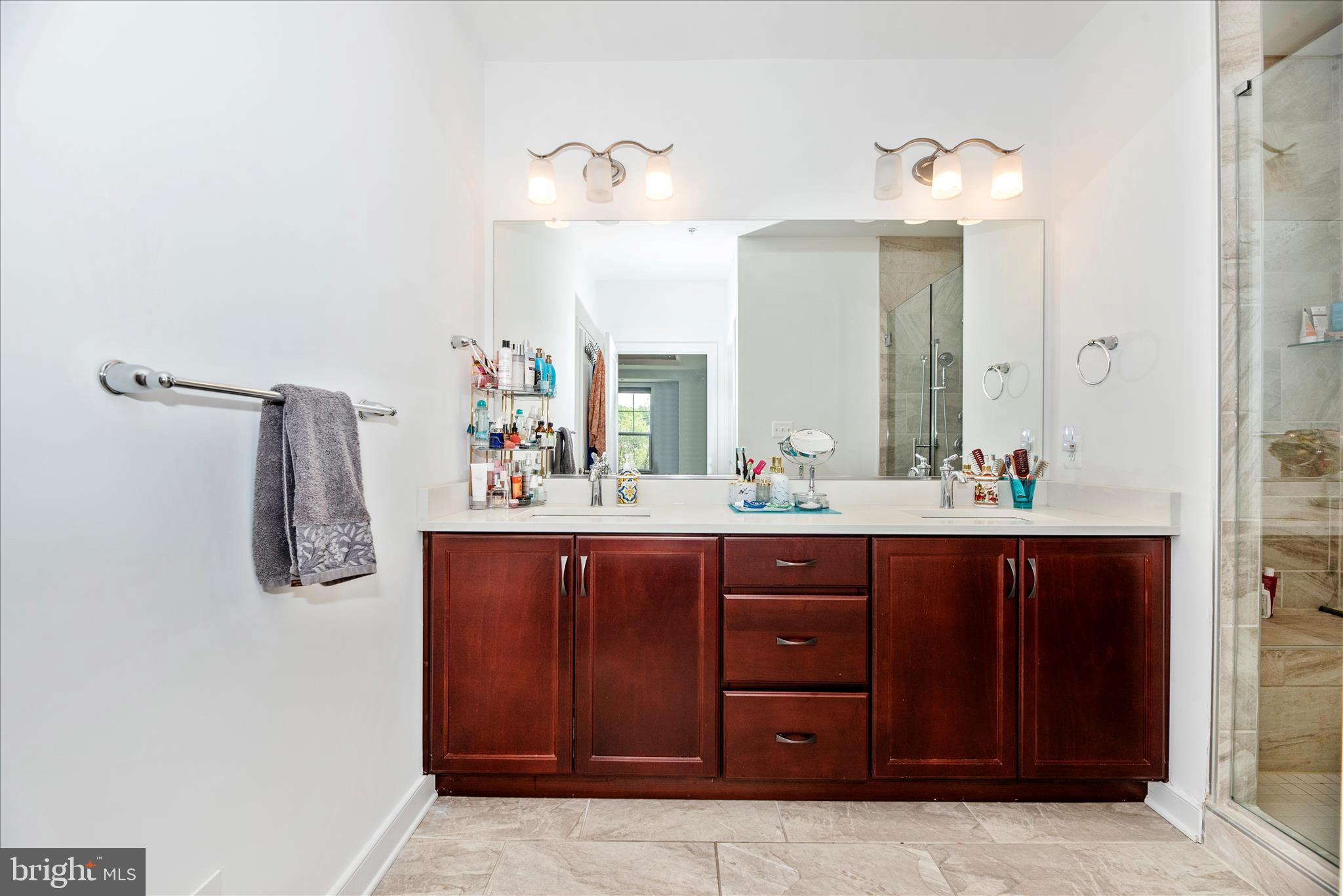 4732 Plum Road Monrovia, MD 21770 - Photo 44 of 93 1st floor Primary bedroom ensuite bathroom
