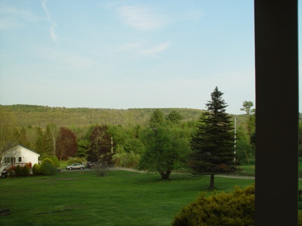 17 Lee Road Ware, MA 01082 - Photo 28 of 28 a view of a grassy field with an trees