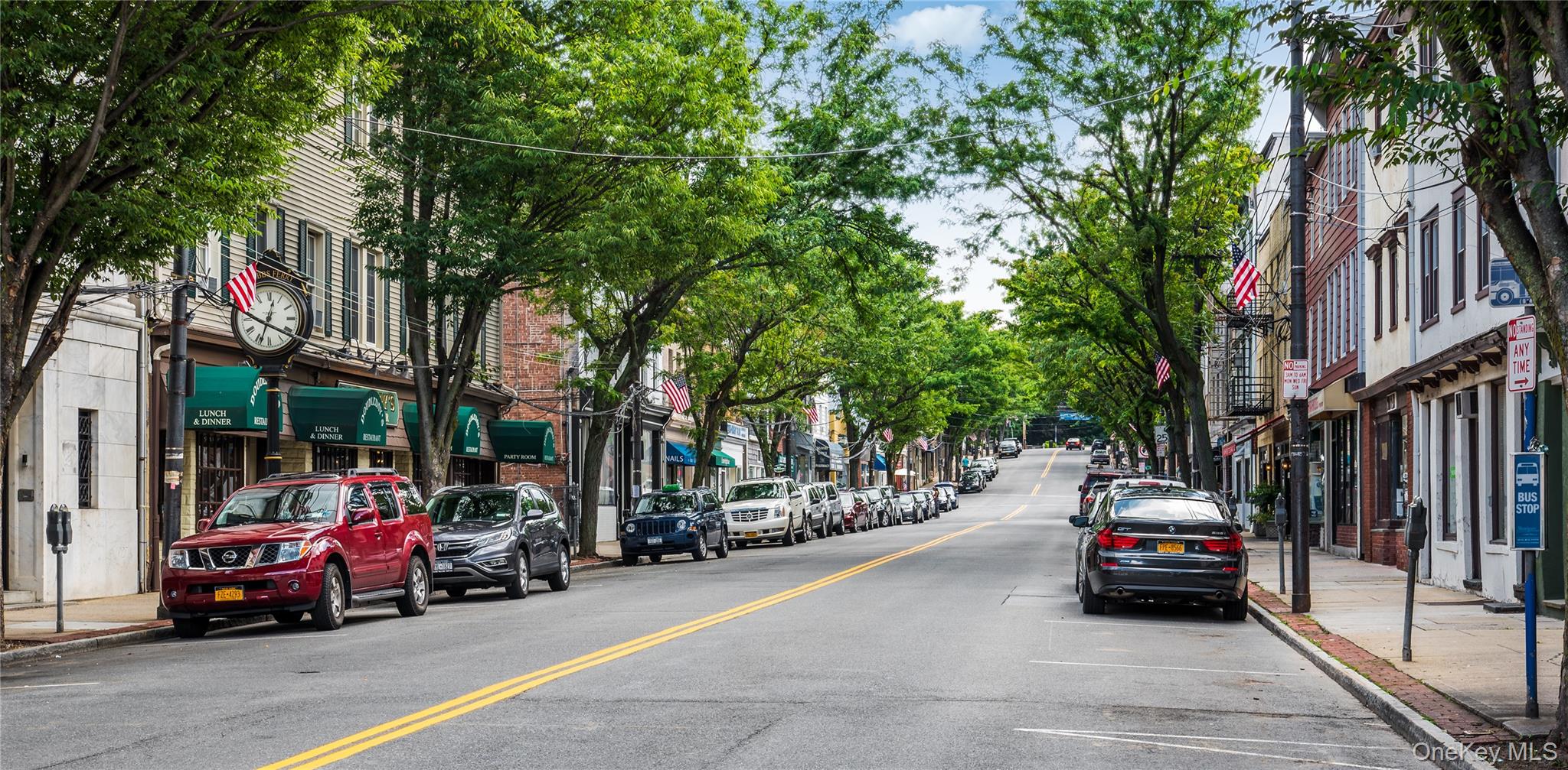 74 Briary Road Dobbs Ferry, NY 10522 - Photo 20 of 23 a car parked on the side of a street