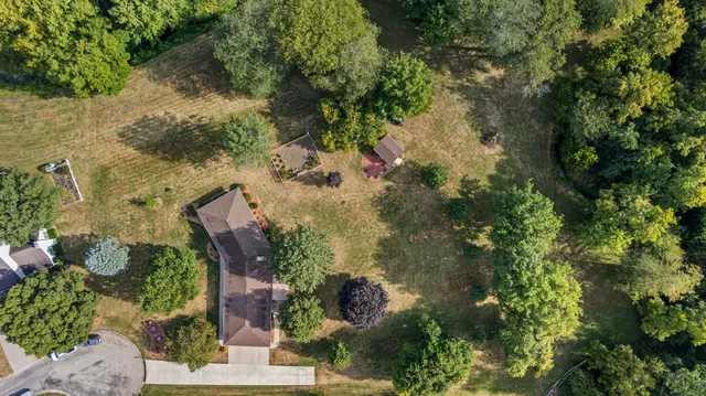 a view of a backyard with plants and large trees