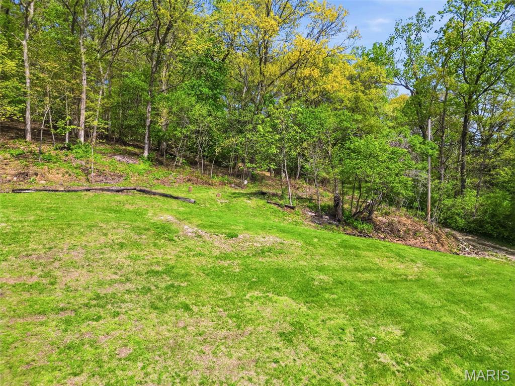 409 Luke Street Clarksville, MO 63336 - Photo 13 of 73