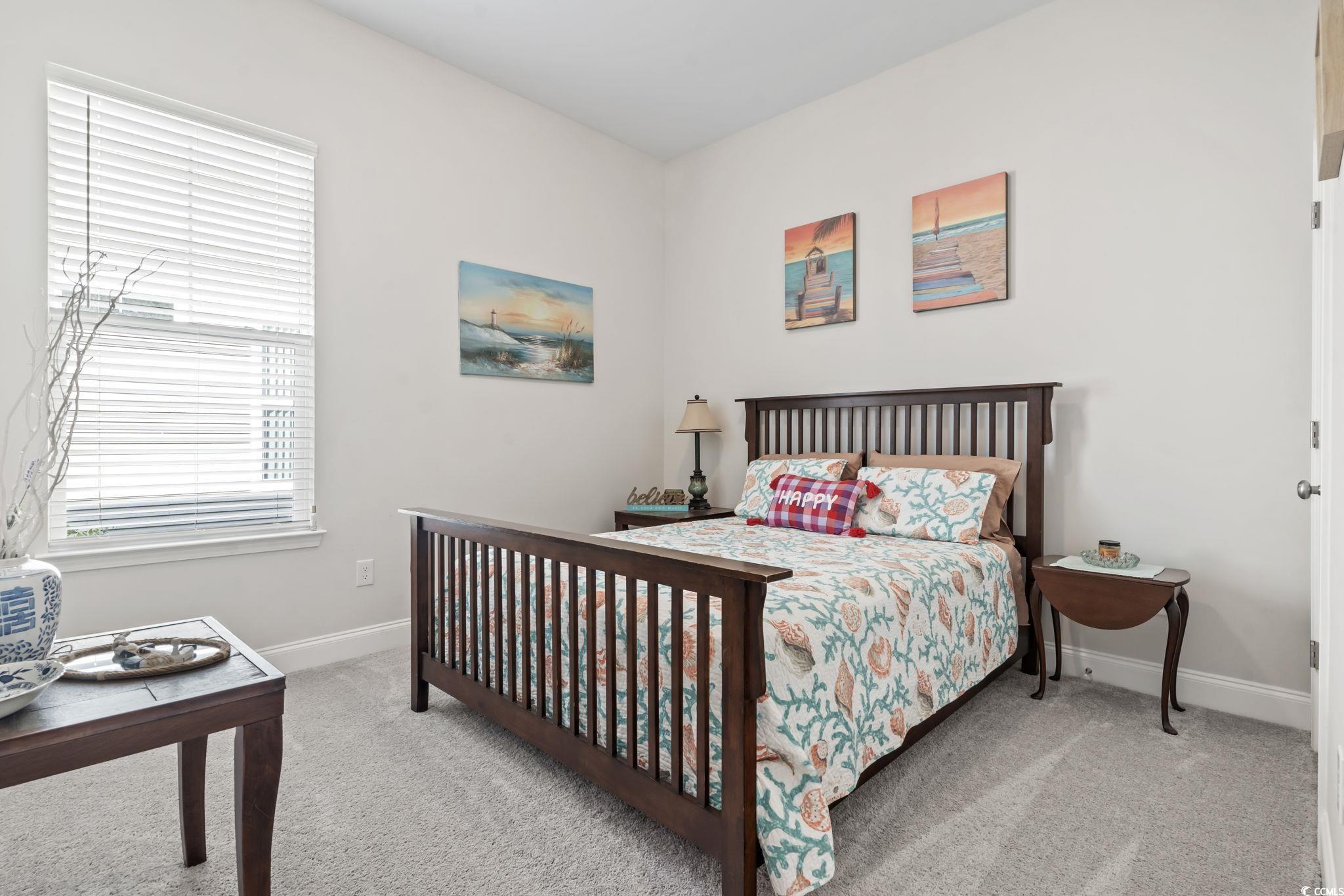 502 Bumble Circle Murrells Inlet, SC 29576 - Photo 28 of 39 View of carpeted bedroom