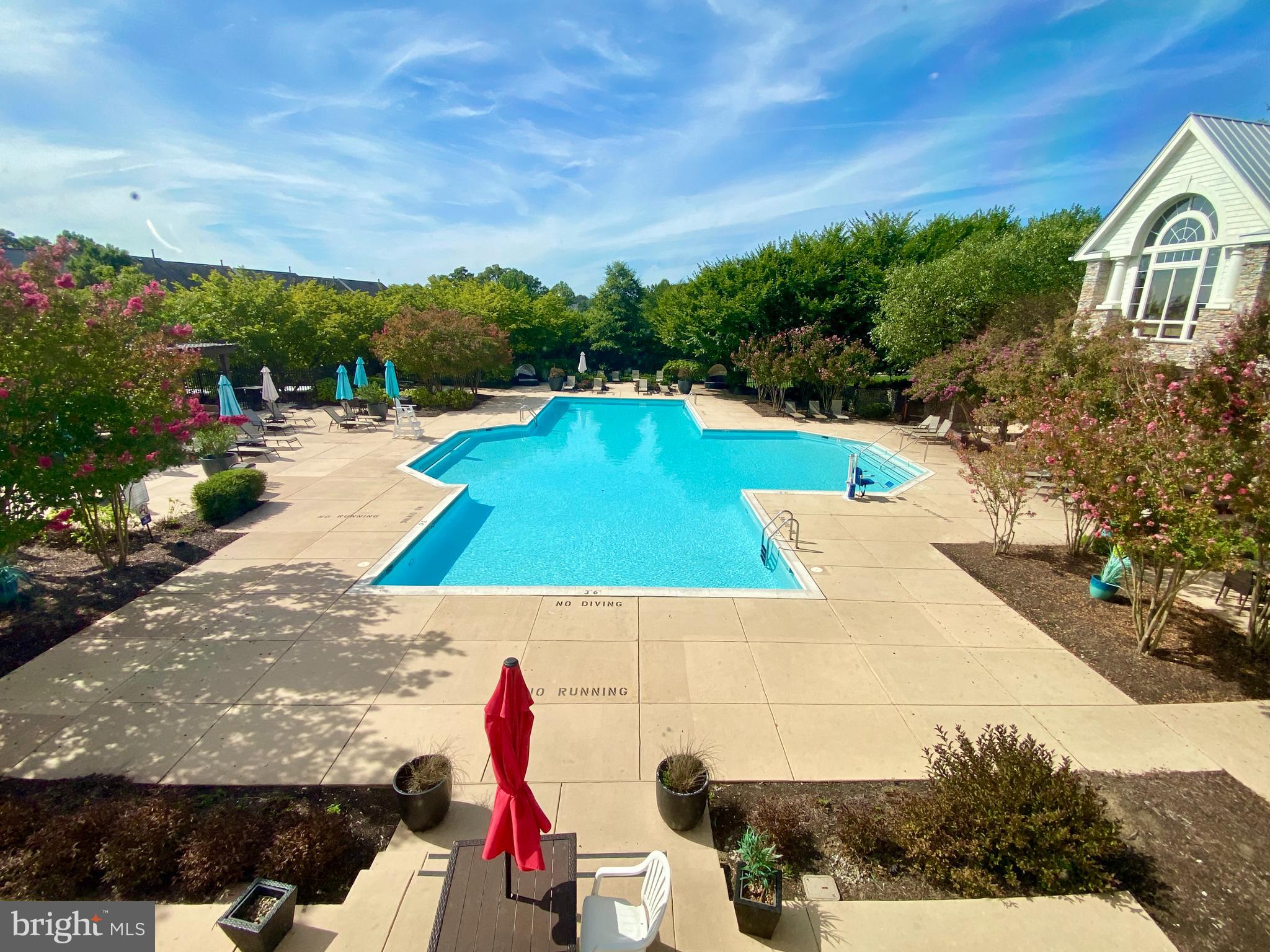 1621 Ladue Court, Unit 105 Woodbridge, VA 22191 - Photo 43 of 60 a view of yard with swimming pool and furniture
