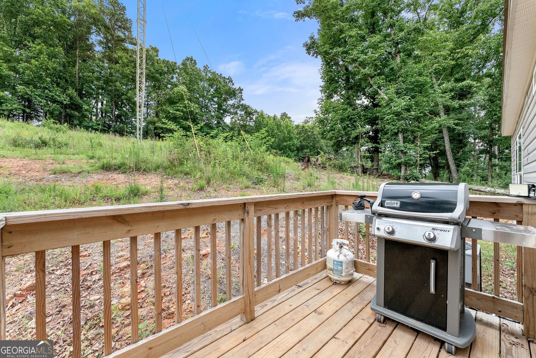 1625 Asbury Mill Road Cleveland, GA 30528 - Photo 35 of 47