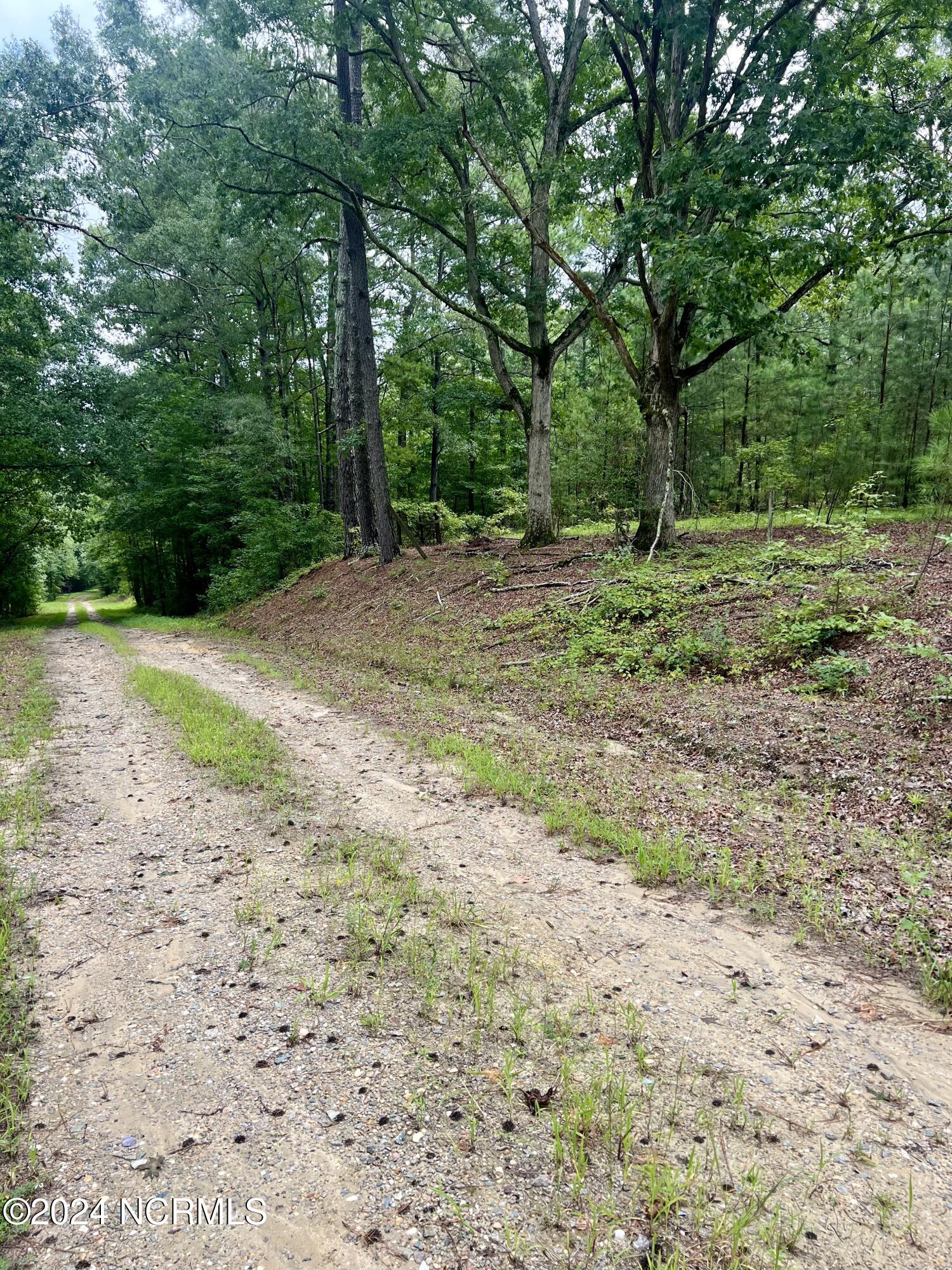 0 Charles Road Eagle Springs, NC 27242 - Photo 2 of 8 IMG_1338