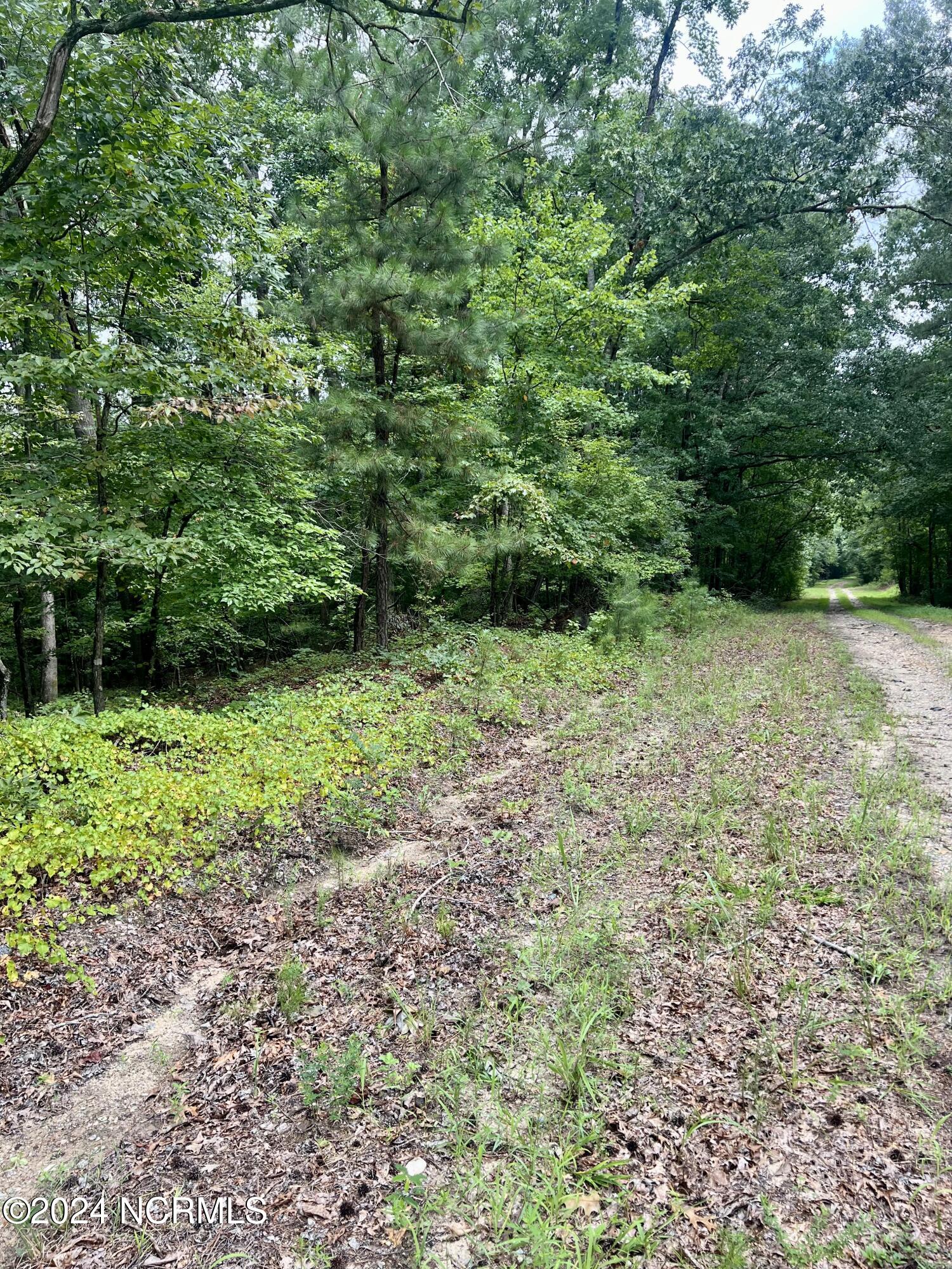 0 Charles Road Eagle Springs, NC 27242 - Photo 3 of 8 IMG_1337