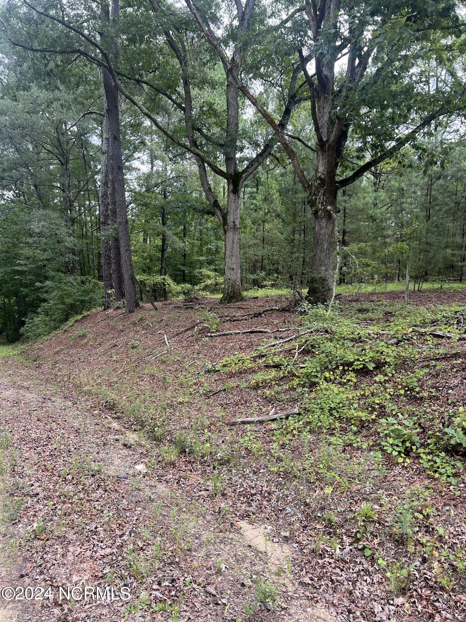 0 Charles Road Eagle Springs, NC 27242 - Photo 5 of 8 IMG_1335