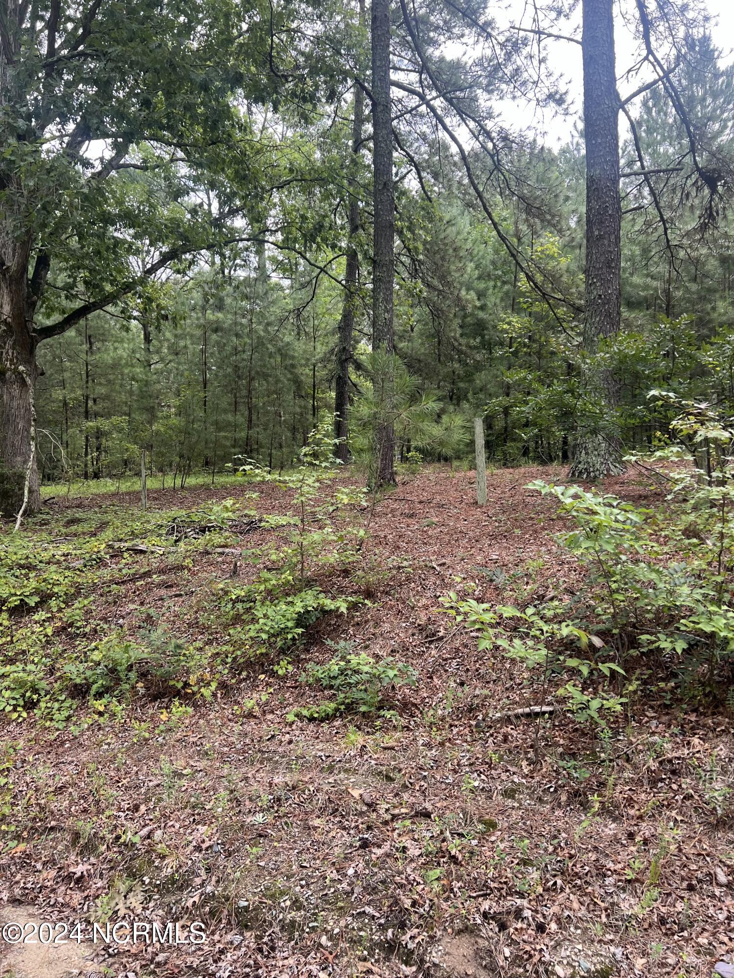 0 Charles Road Eagle Springs, NC 27242 - Photo 7 of 8 IMG_1333