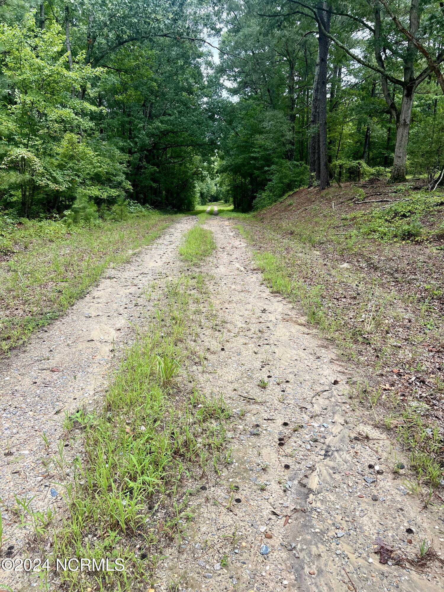 0 Charles Road Eagle Springs, NC 27242 - Photo 8 of 8 IMG_1332