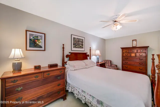 a view of a forest with a tree