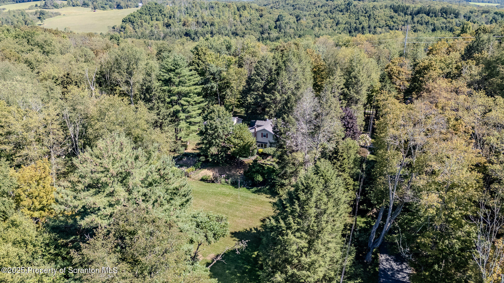 353 Benton Road Dalton, PA 18414 - Photo 48 of 78 a view of a forest with a tree