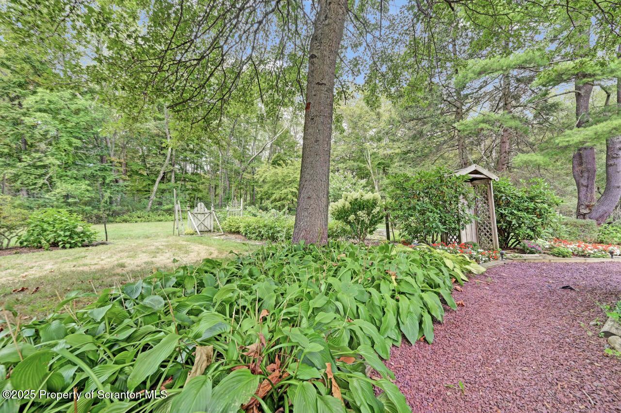 353 Benton Road Dalton, PA 18414 - Photo 57 of 78 Garden