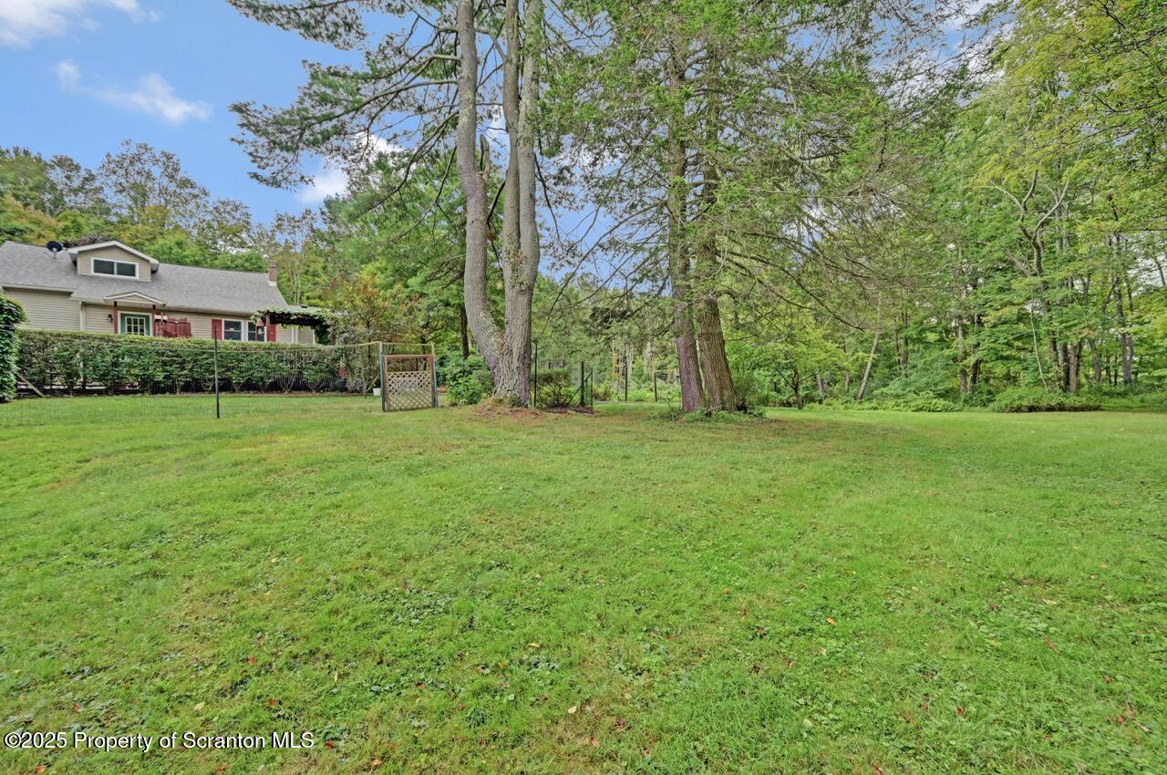 353 Benton Road Dalton, PA 18414 - Photo 65 of 78 Yard