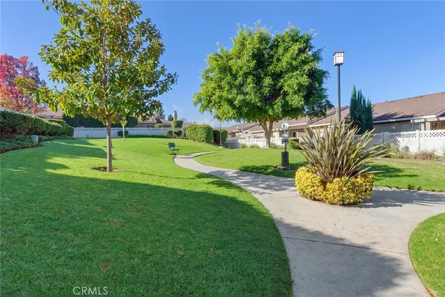 a house with palm tree in front of it