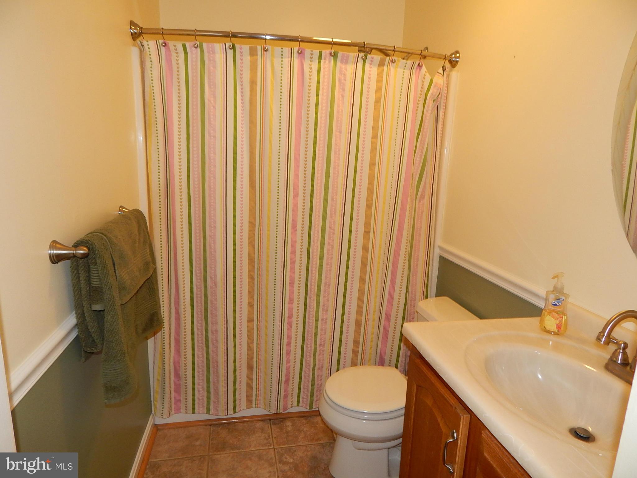 1615 Lottie Fowler Road Prince Frederick, MD 20678 - Photo 12 of 29 a bathroom with a sink a toilet and shower curtain