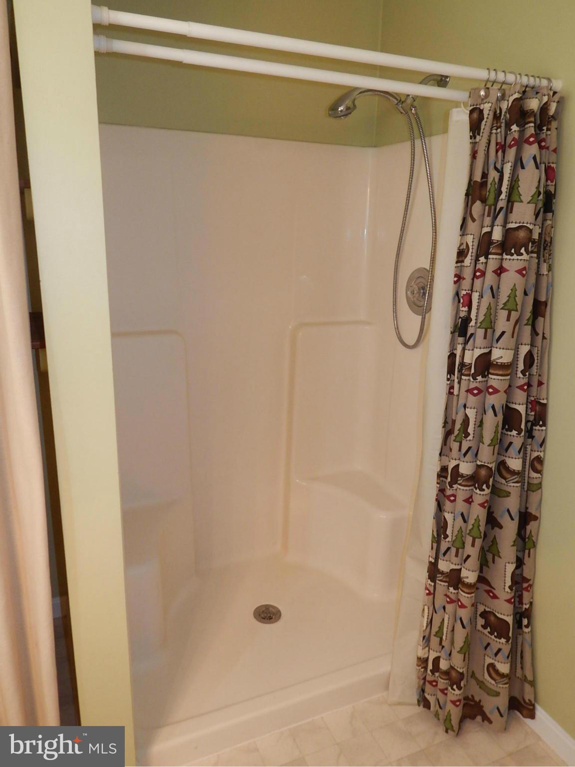 1615 Lottie Fowler Road Prince Frederick, MD 20678 - Photo 18 of 29 a bathroom with a shower