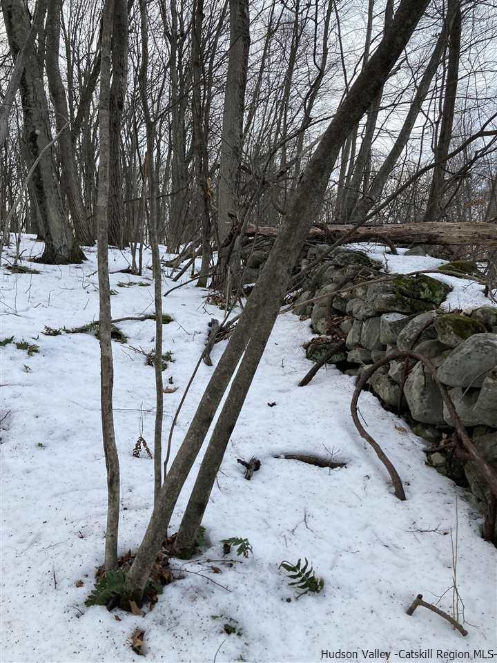 10 Edward Road Milton, NY 12547 - Photo 15 of 16 a view of outdoor space yard and staircase