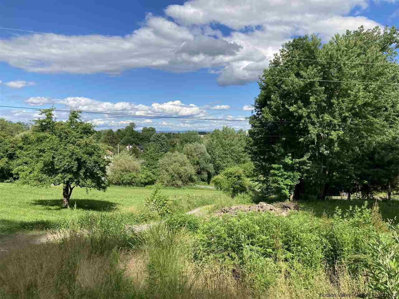 10 Edward Road Milton, NY 12547 - Photo 2 of 16 a view of a garden with a lake