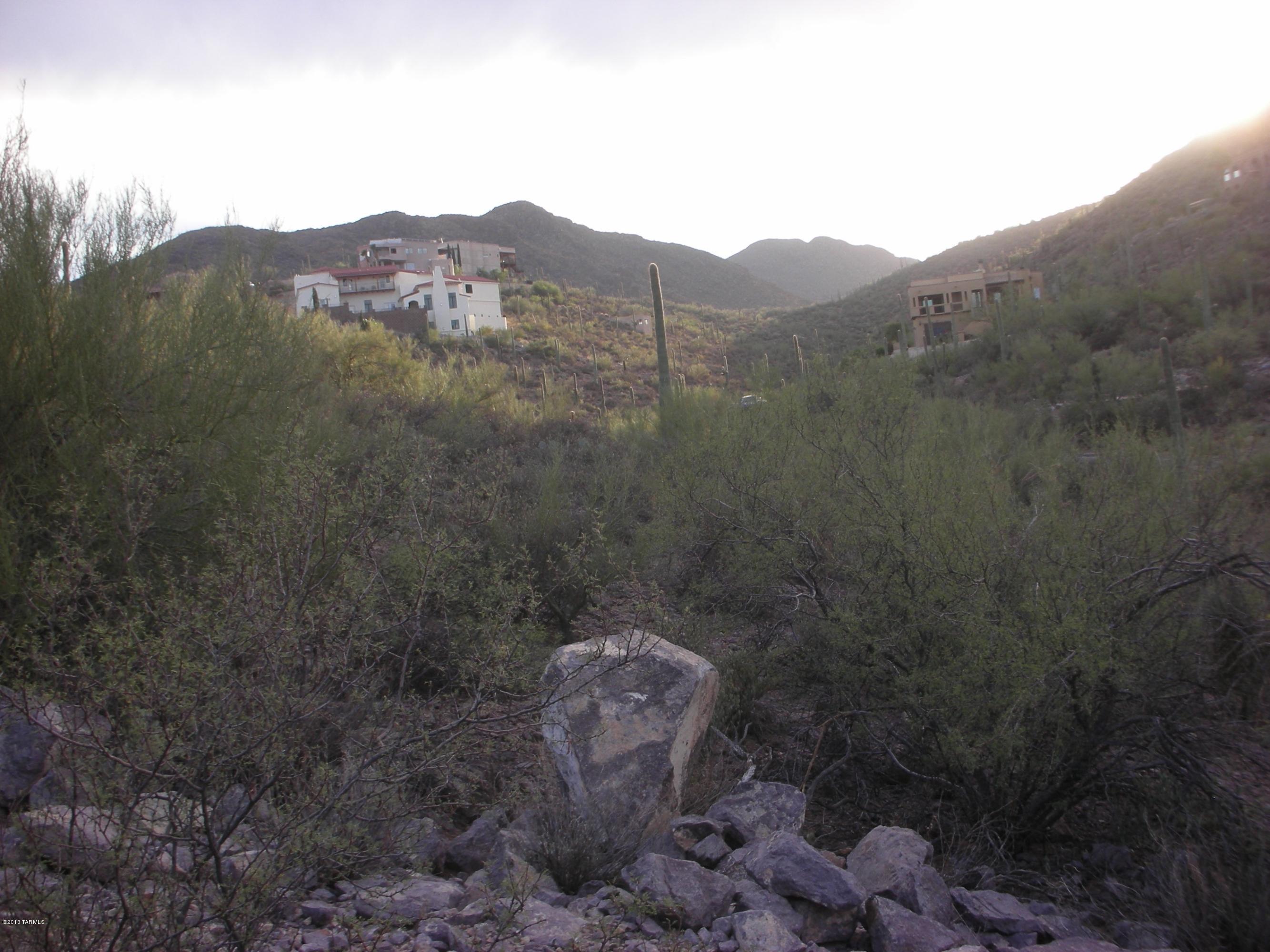 5025 North Vía Roma Tucson, AZ 85745 - Photo 10 of 10 a view of a mountain in the distance
