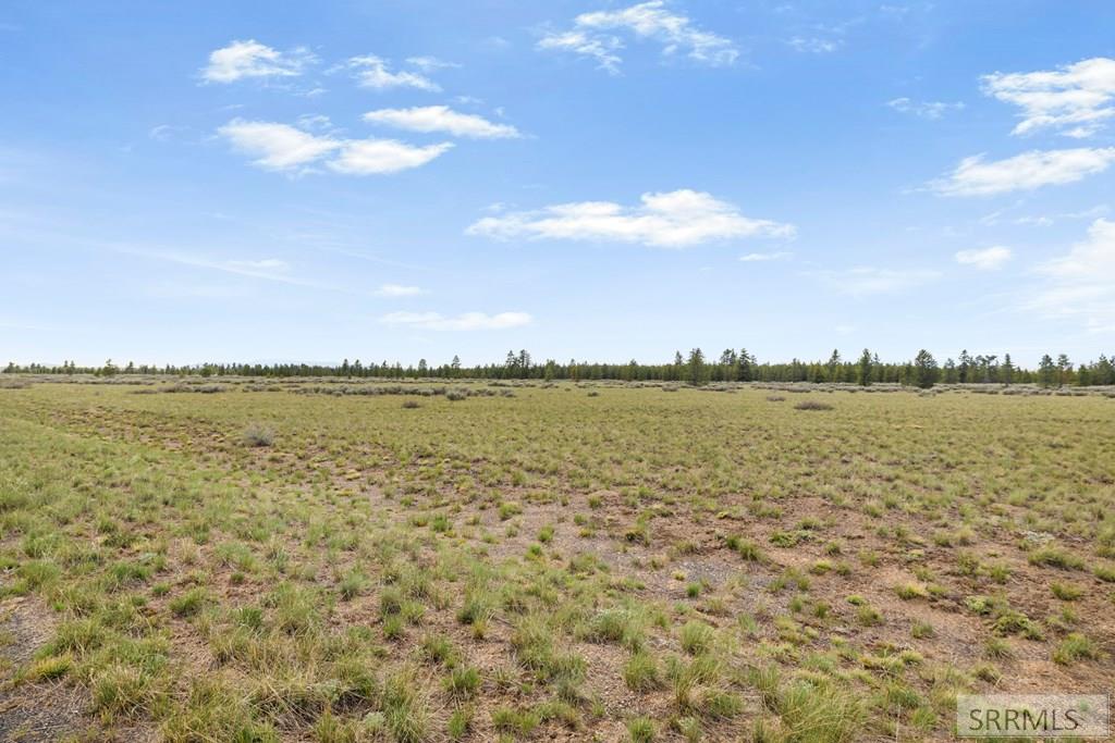 3565 Pine Grouse Road Island Park, ID 83429 - Photo 11 of 15