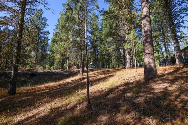 $850,000 | Tbd Columbine Drive, New Meadows, ID 83654