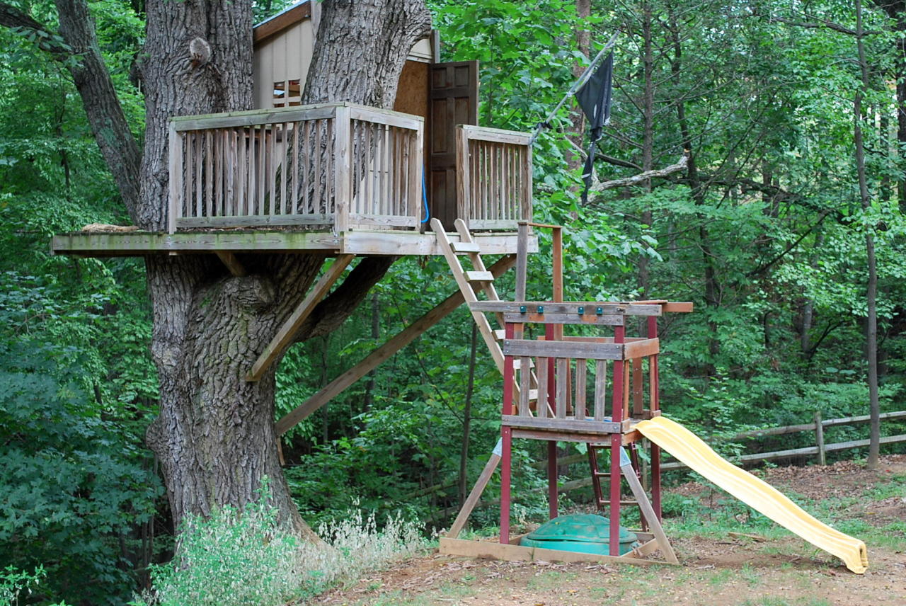 6038 Burnham Road Roanoke, VA 24018 - Photo 22 of 22 Tree House