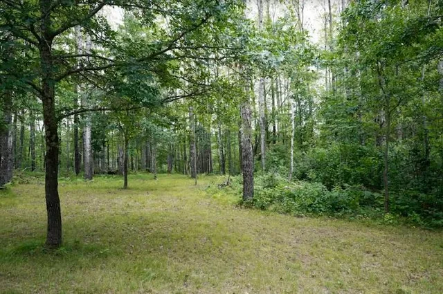 $280,000 | W8432 Webb Creek Drive, Trego, WI 54888