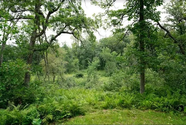 $280,000 | W8432 Webb Creek Drive, Trego, WI 54888