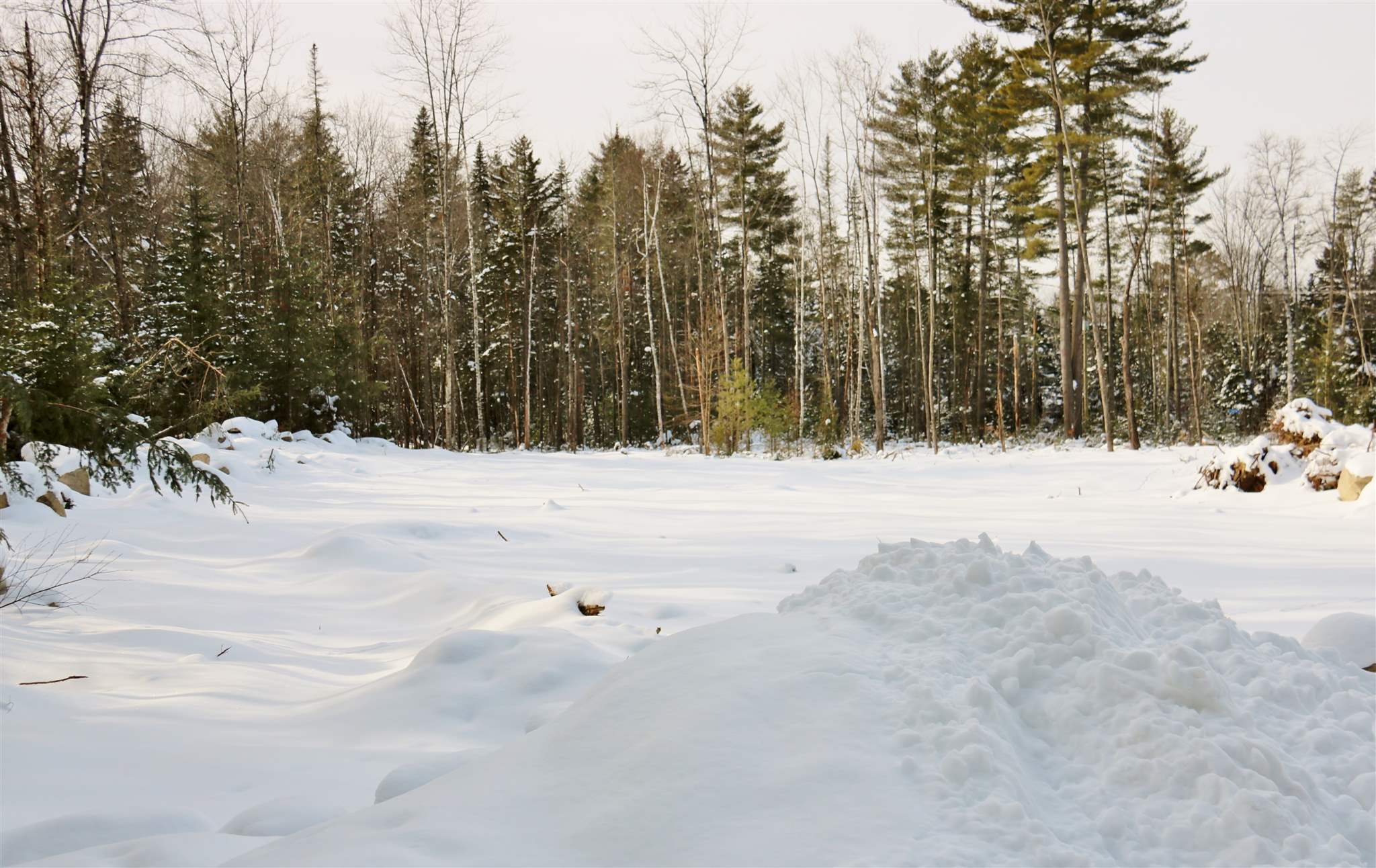 Lot 29 Colby Road Whitefield, NH 03598 - Photo 3 of 7