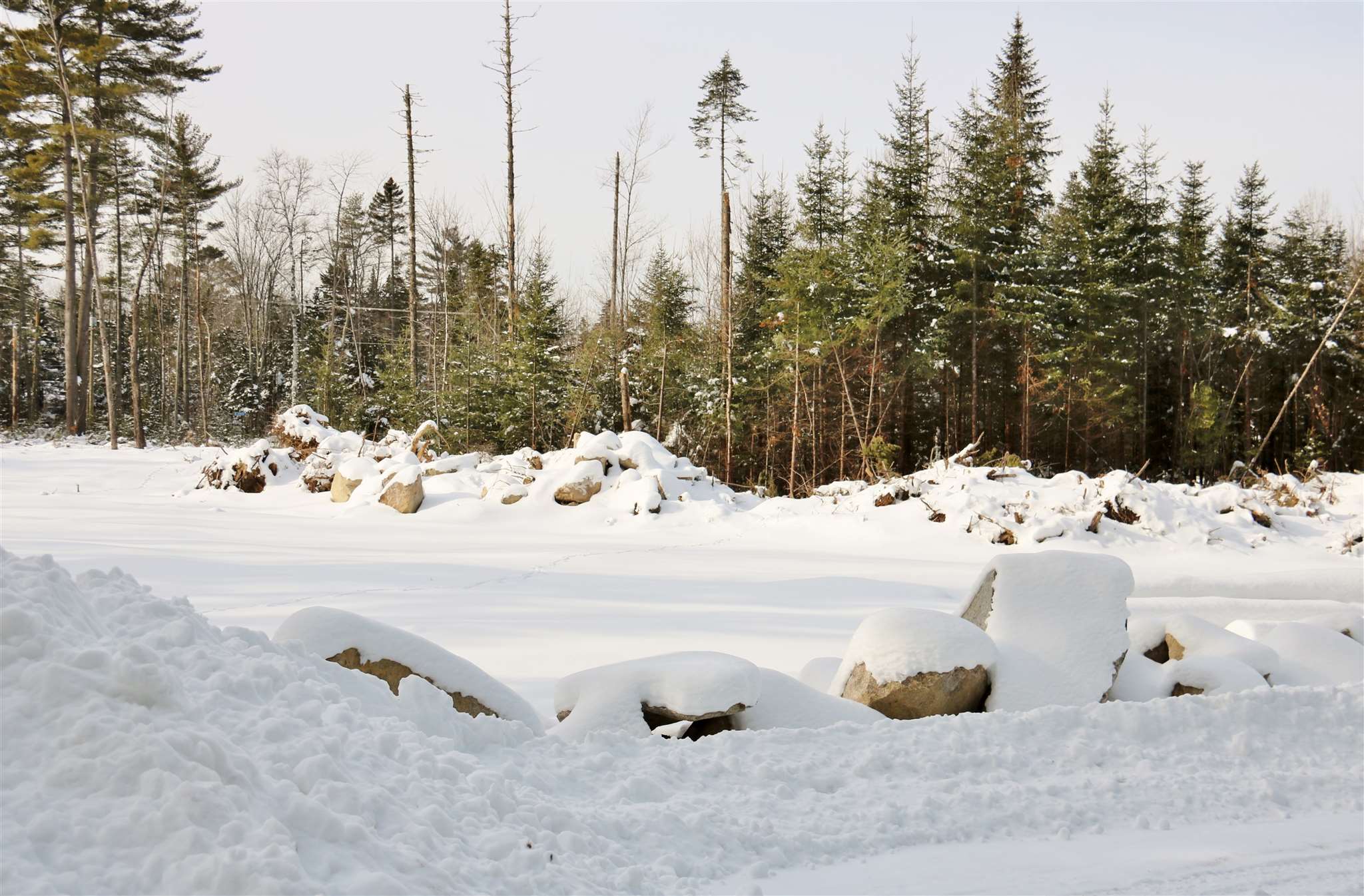 Lot 29 Colby Road Whitefield, NH 03598 - Photo 4 of 7
