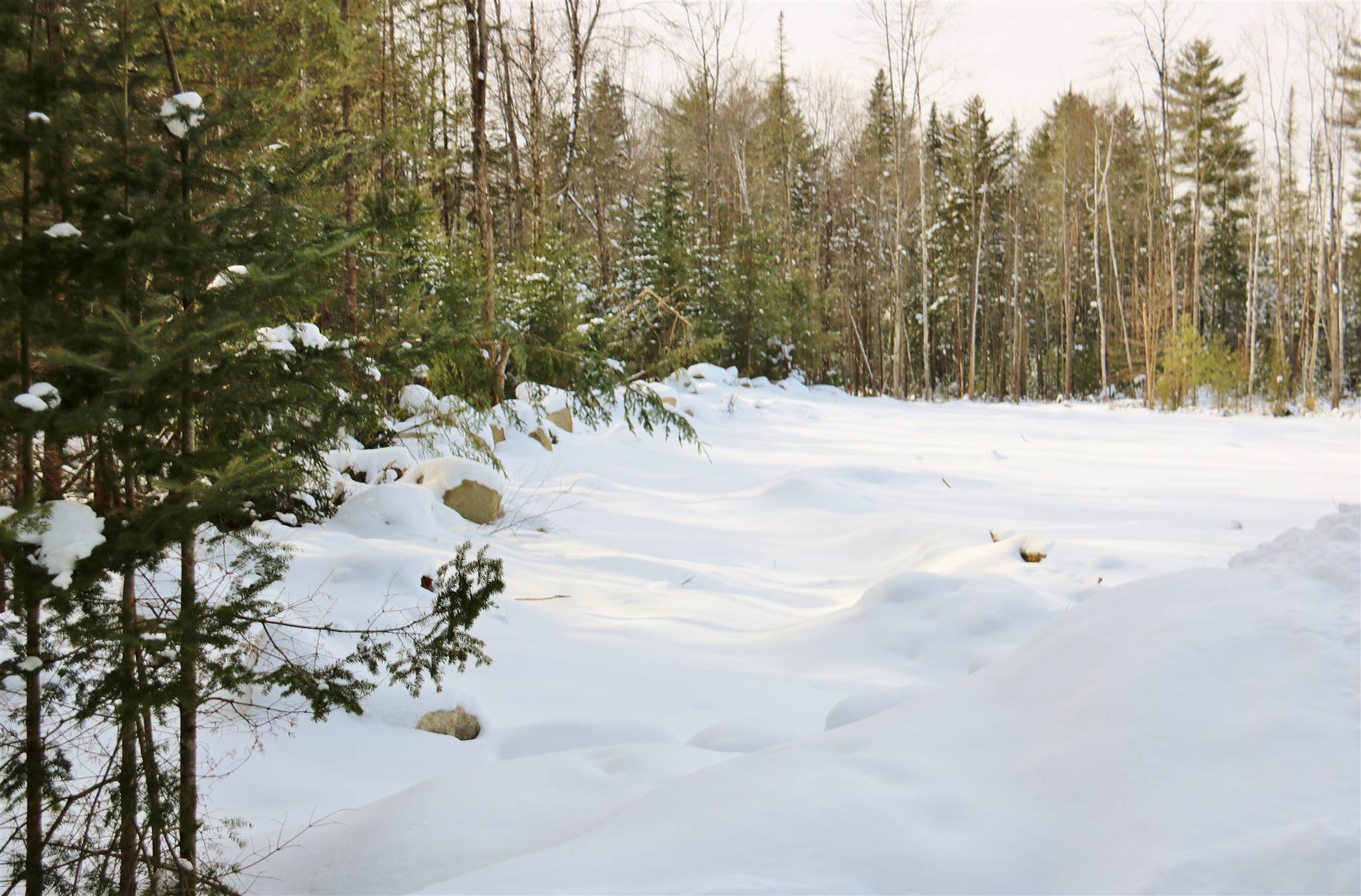 Lot 29 Colby Road Whitefield, NH 03598 - Photo 5 of 7