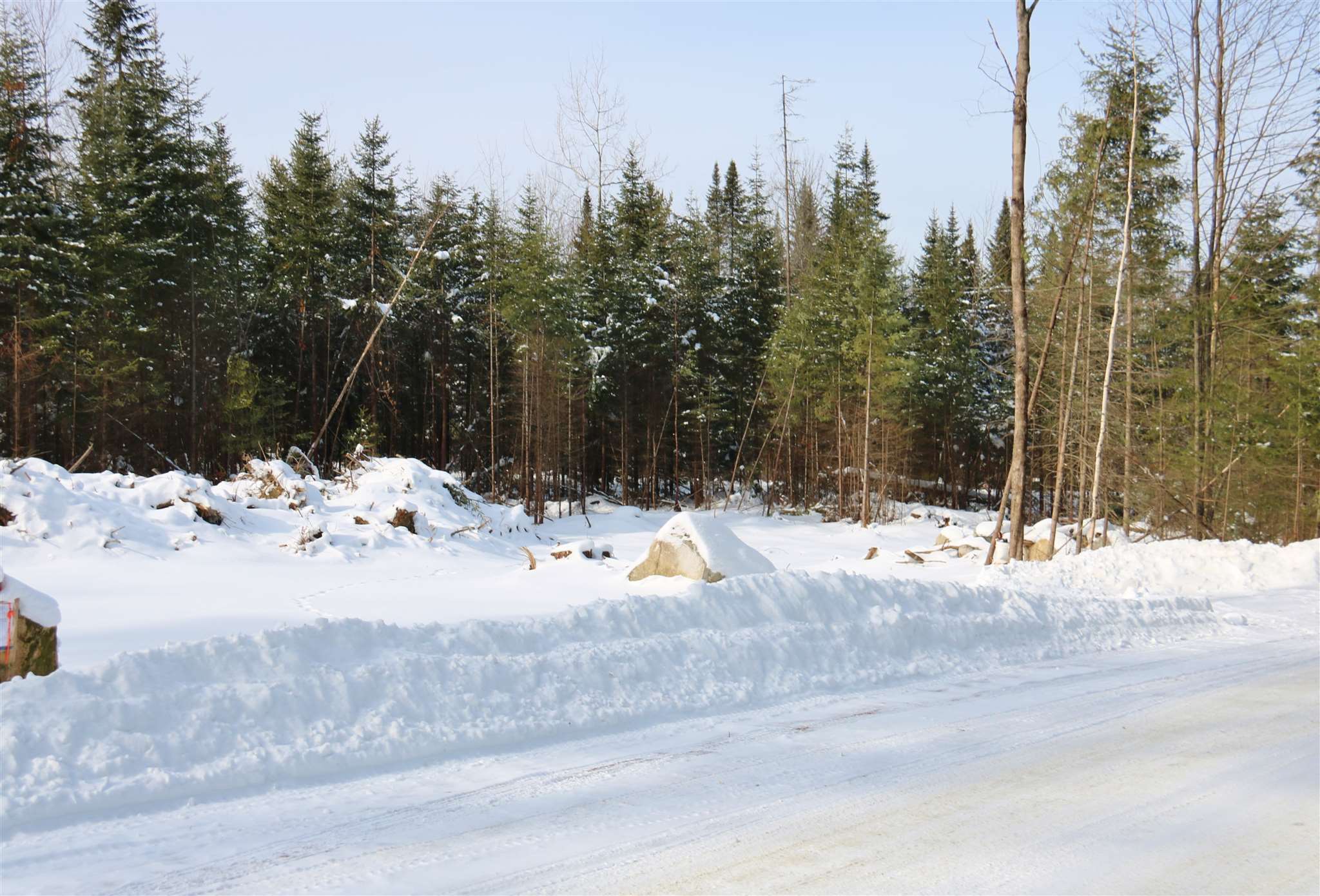Lot 29 Colby Road Whitefield, NH 03598 - Photo 6 of 7