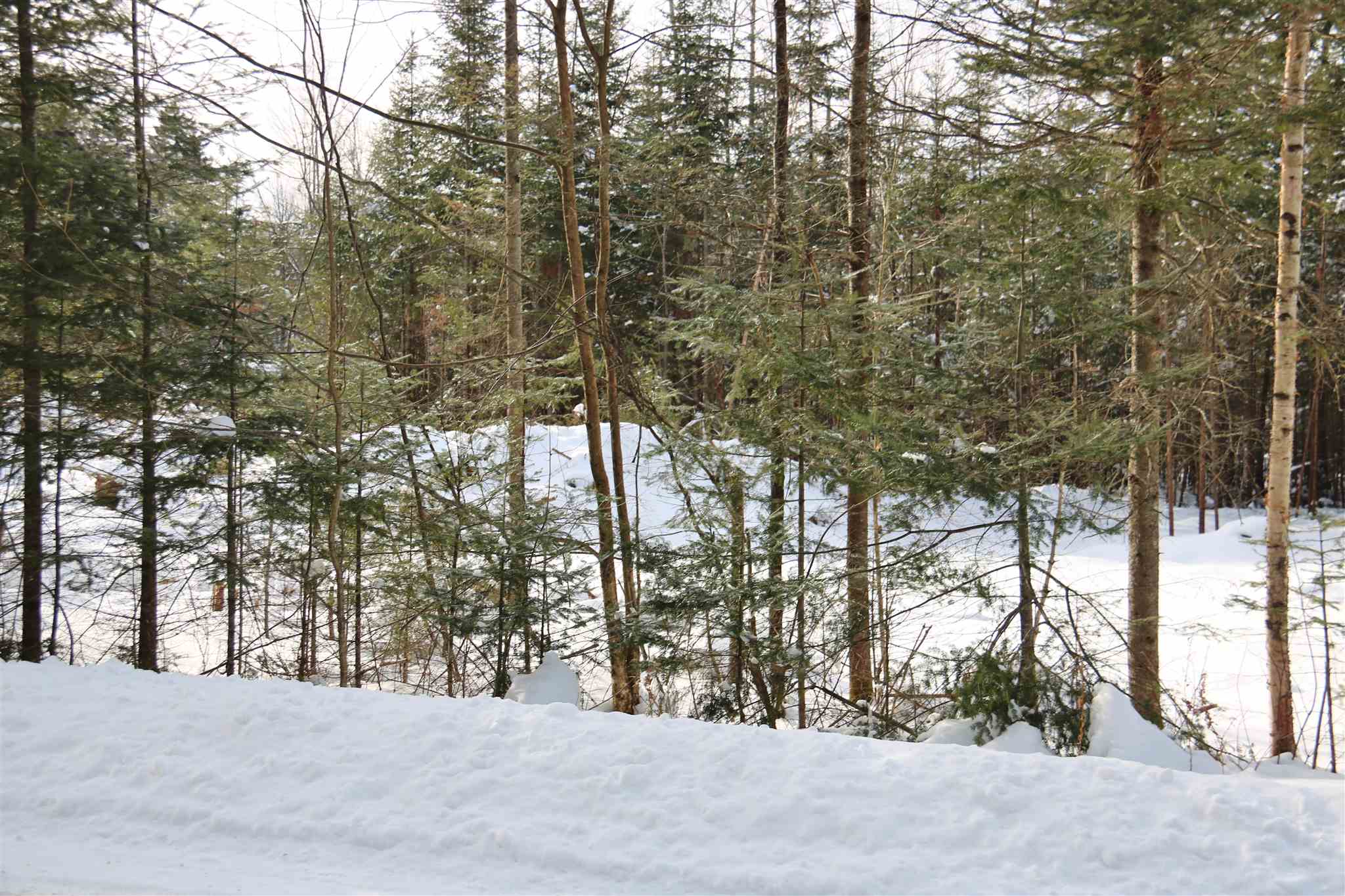 Lot 29 Colby Road Whitefield, NH 03598 - Photo 7 of 7