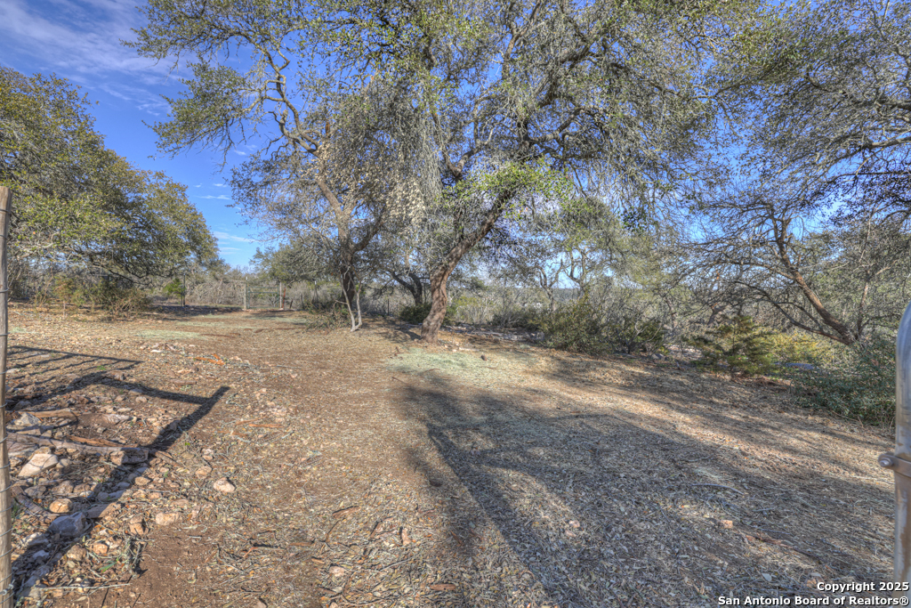 1022 Ranger Ridge New Braunfels, TX 78132 - Photo 10 of 15 a view of dirt yard with a tree