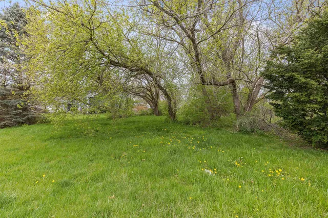 a view of outdoor space with deck and yard