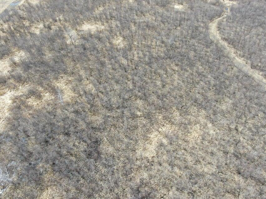 0 South Klier Road Sault Ste. Marie, MI 49783 - Photo 4 of 12 20240418144434043589000000-o