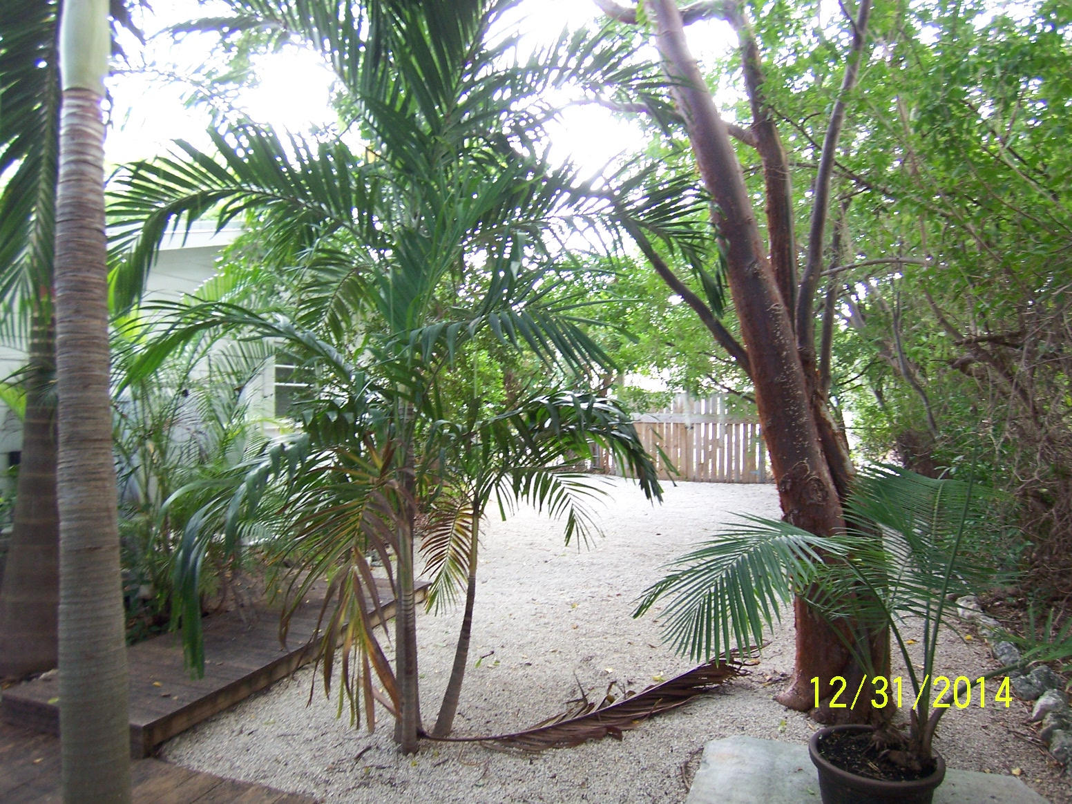 119 Sterling Road Tavernier, FL 33070 - Photo 10 of 16 Front Yard at 119 Sterling Road, Taverni