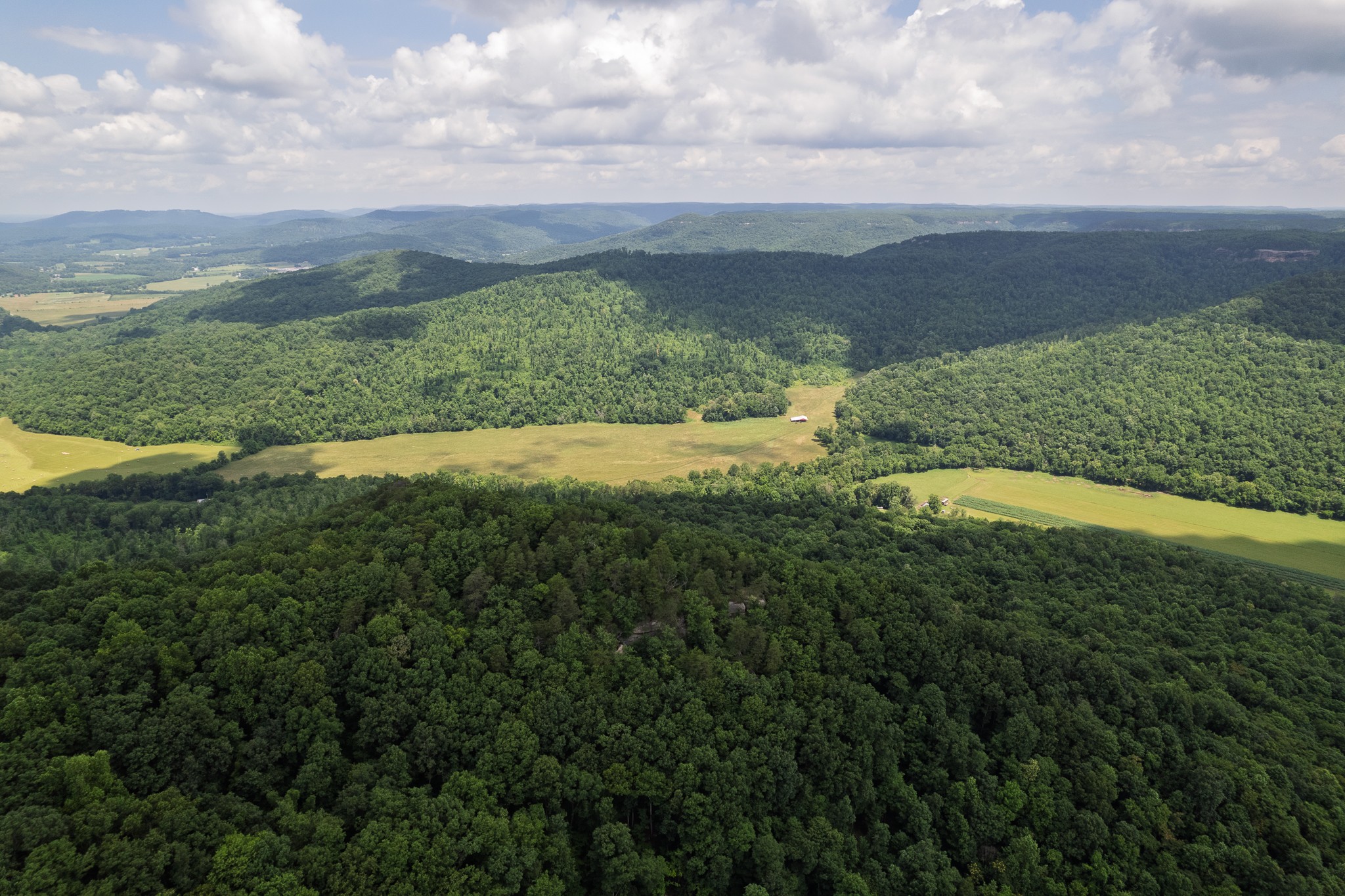1313 Flat Rock Road Jamestown, TN 38556 - Photo 14 of 22