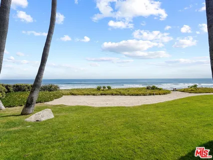 a view of an ocean and beach with a large tree